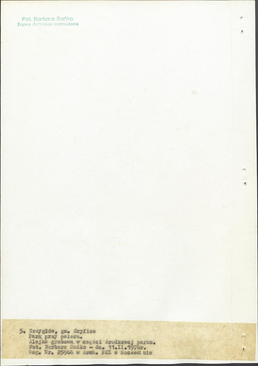 Ewidencja parkowa, skan nr 23