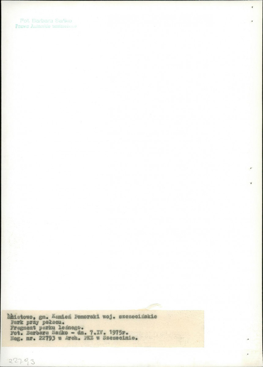 Ewidencja parkowa, skan nr 19