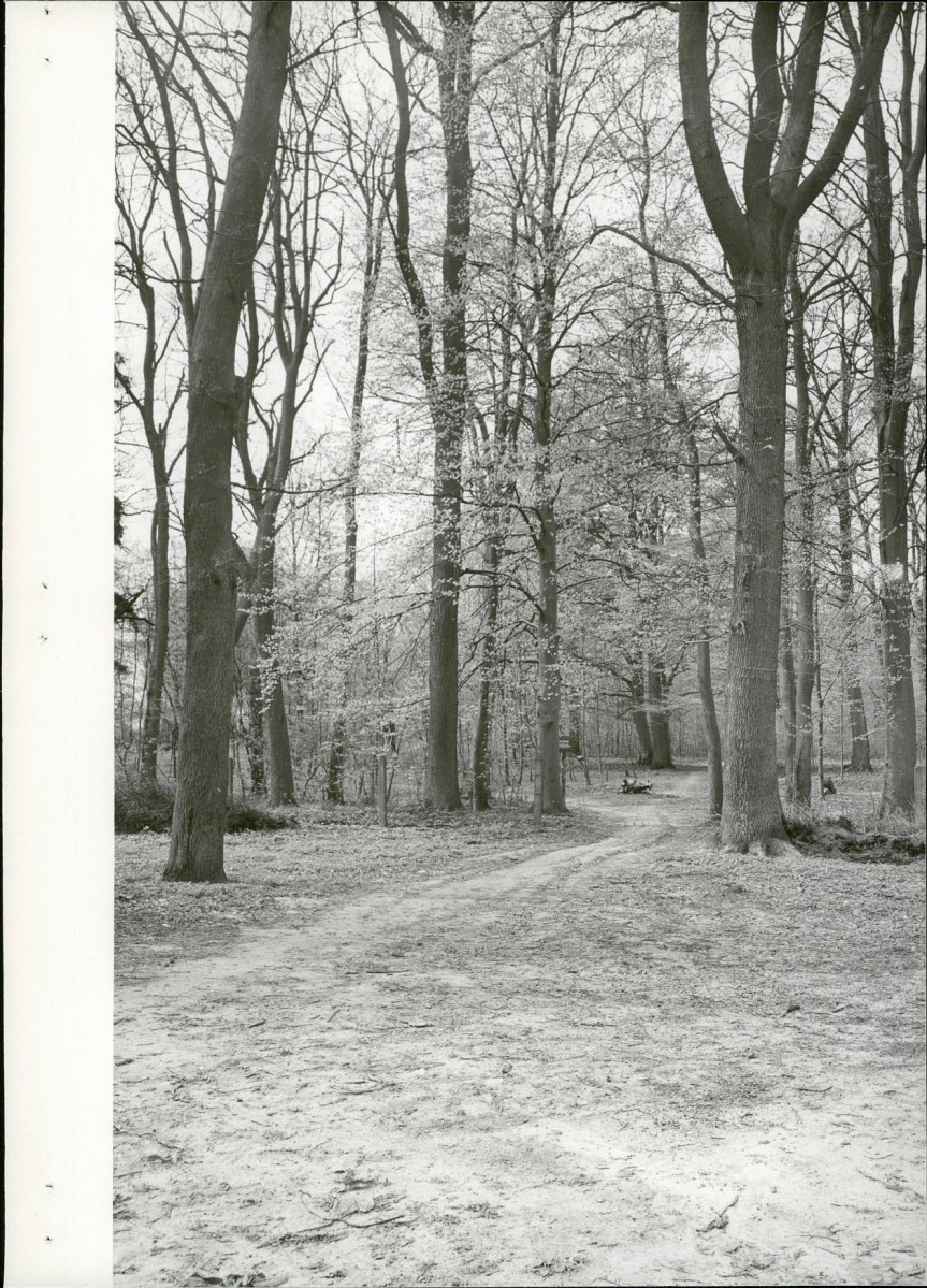 Ewidencja parkowa, skan nr 26