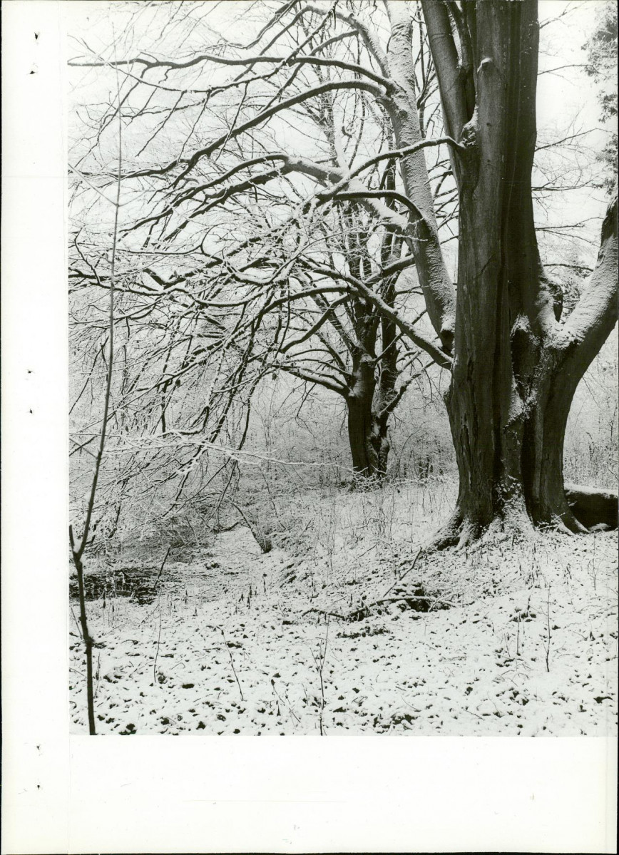 EP - Ewidencja parkowa, skan nr 49