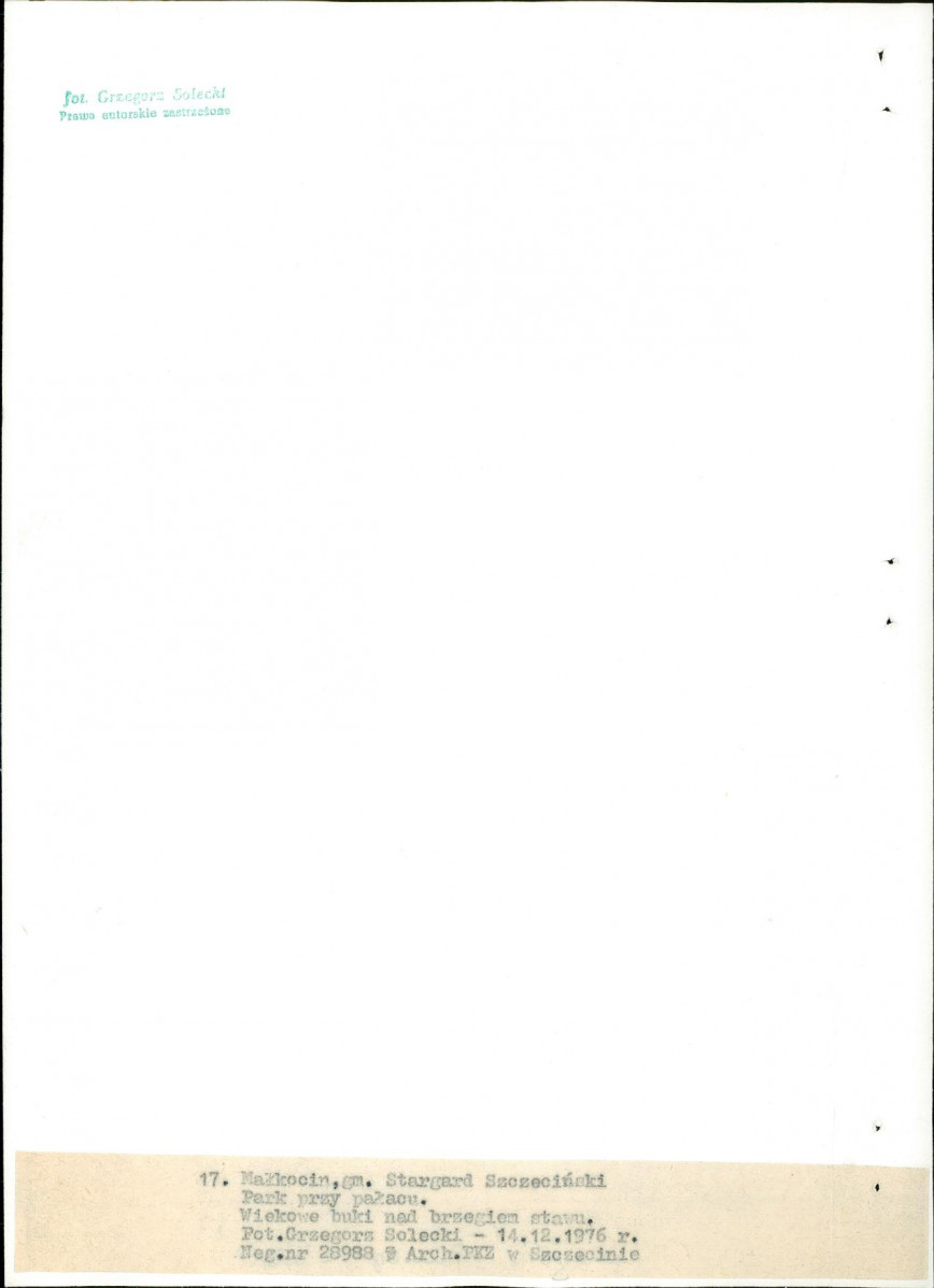 EP - Ewidencja parkowa, skan nr 50