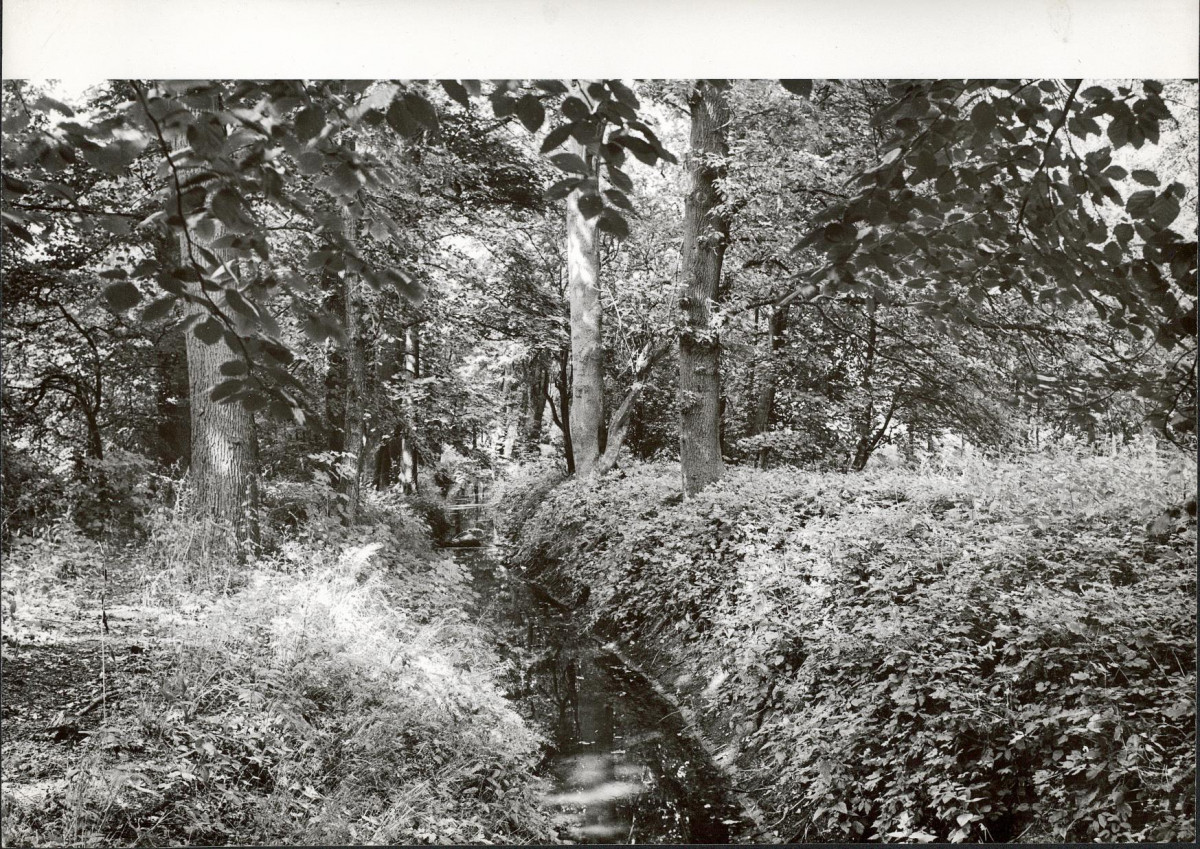 EP - Ewidencja parkowa, skan nr 20