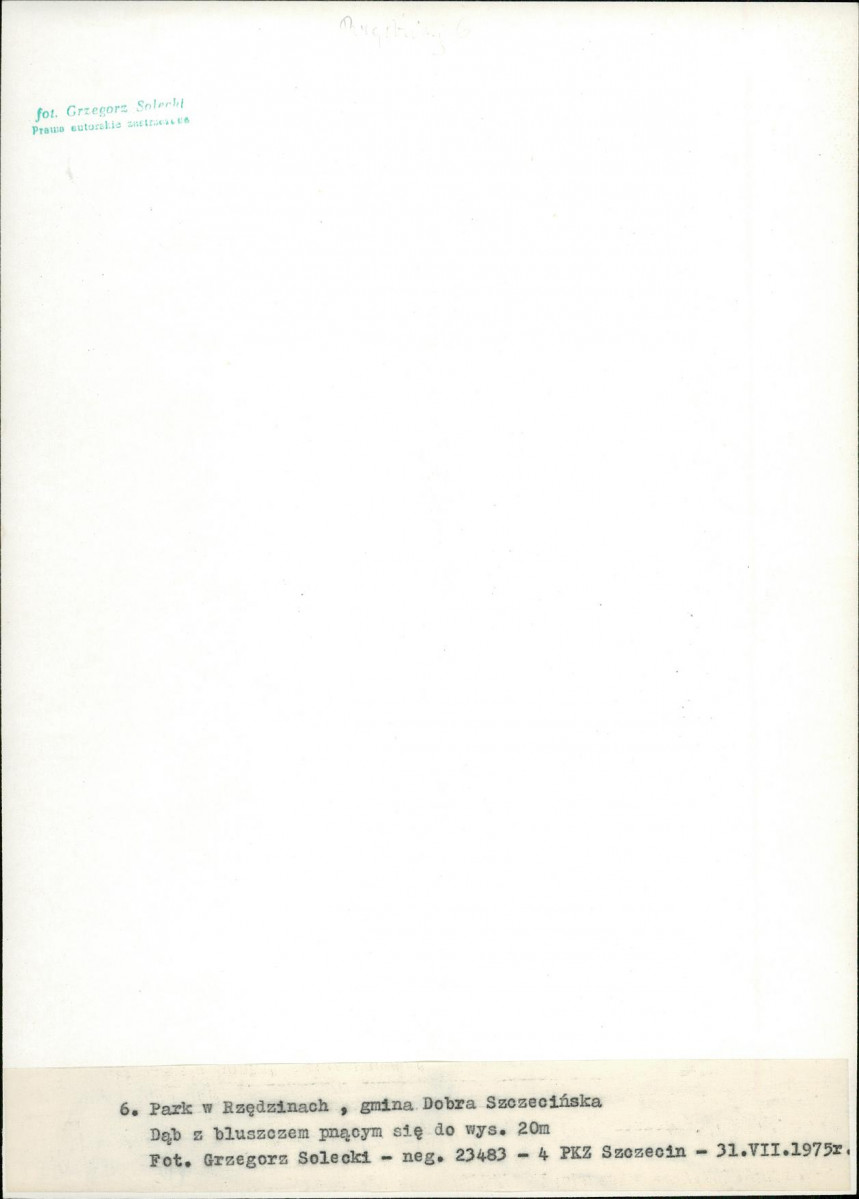 EP - Ewidencja parkowa, skan nr 27
