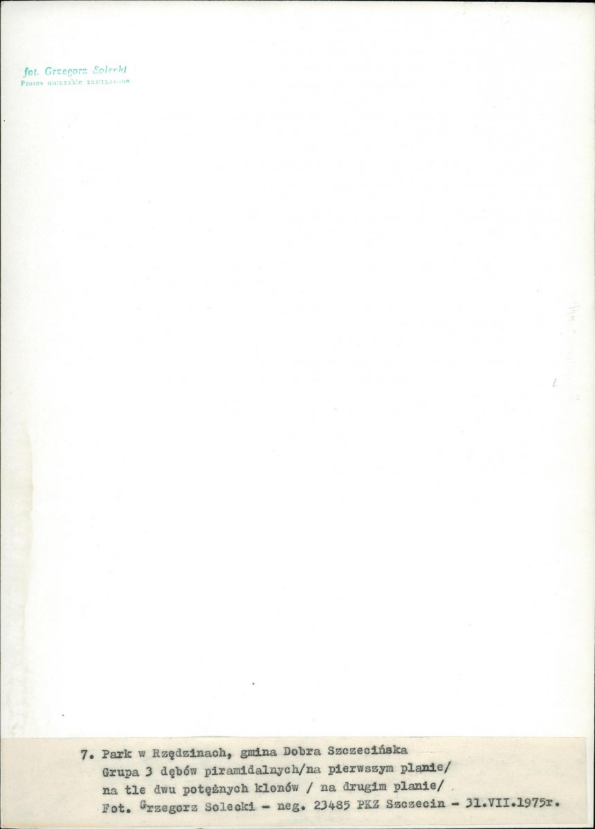 EP - Ewidencja parkowa, skan nr 29