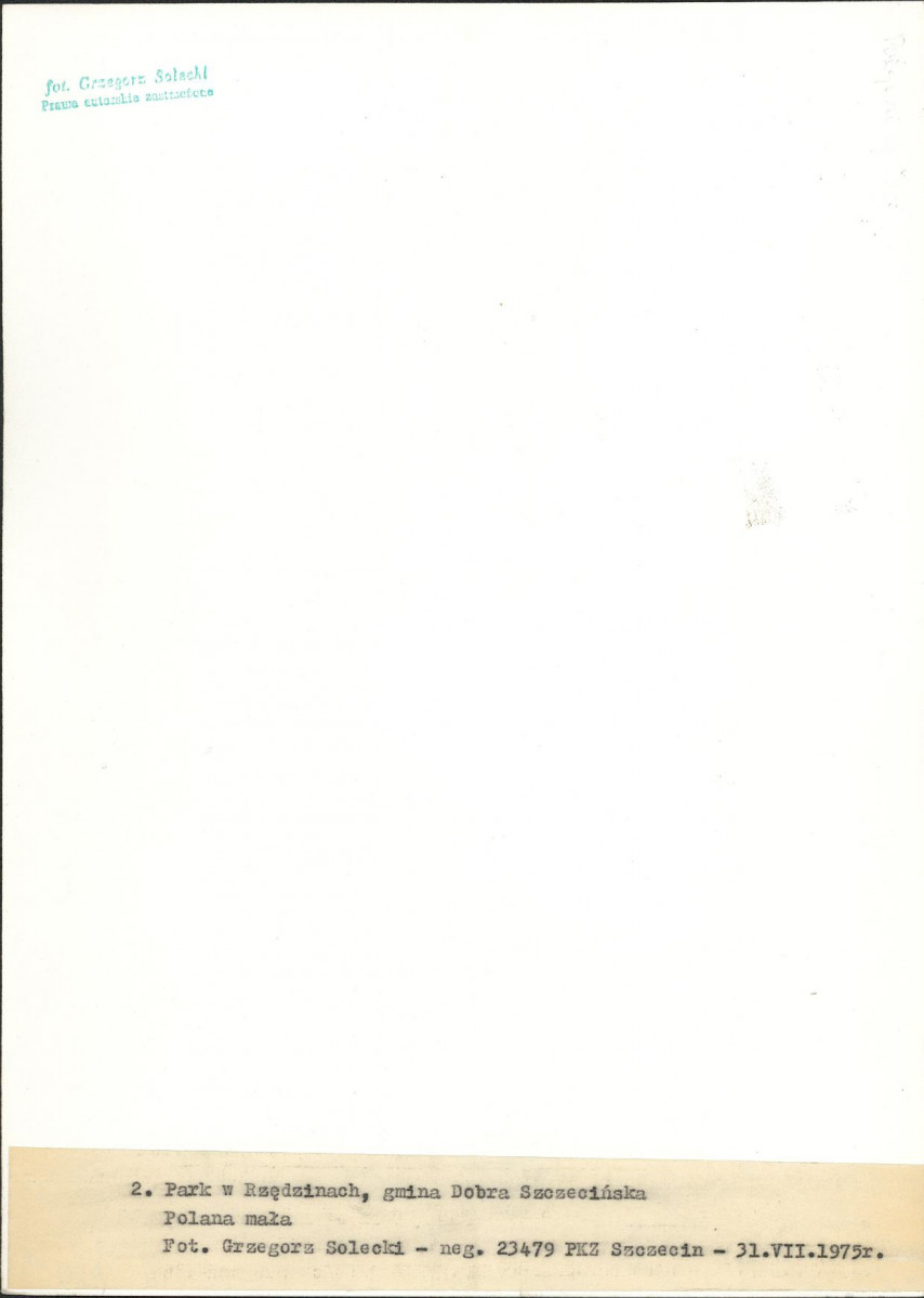 EP - Ewidencja parkowa, skan nr 33