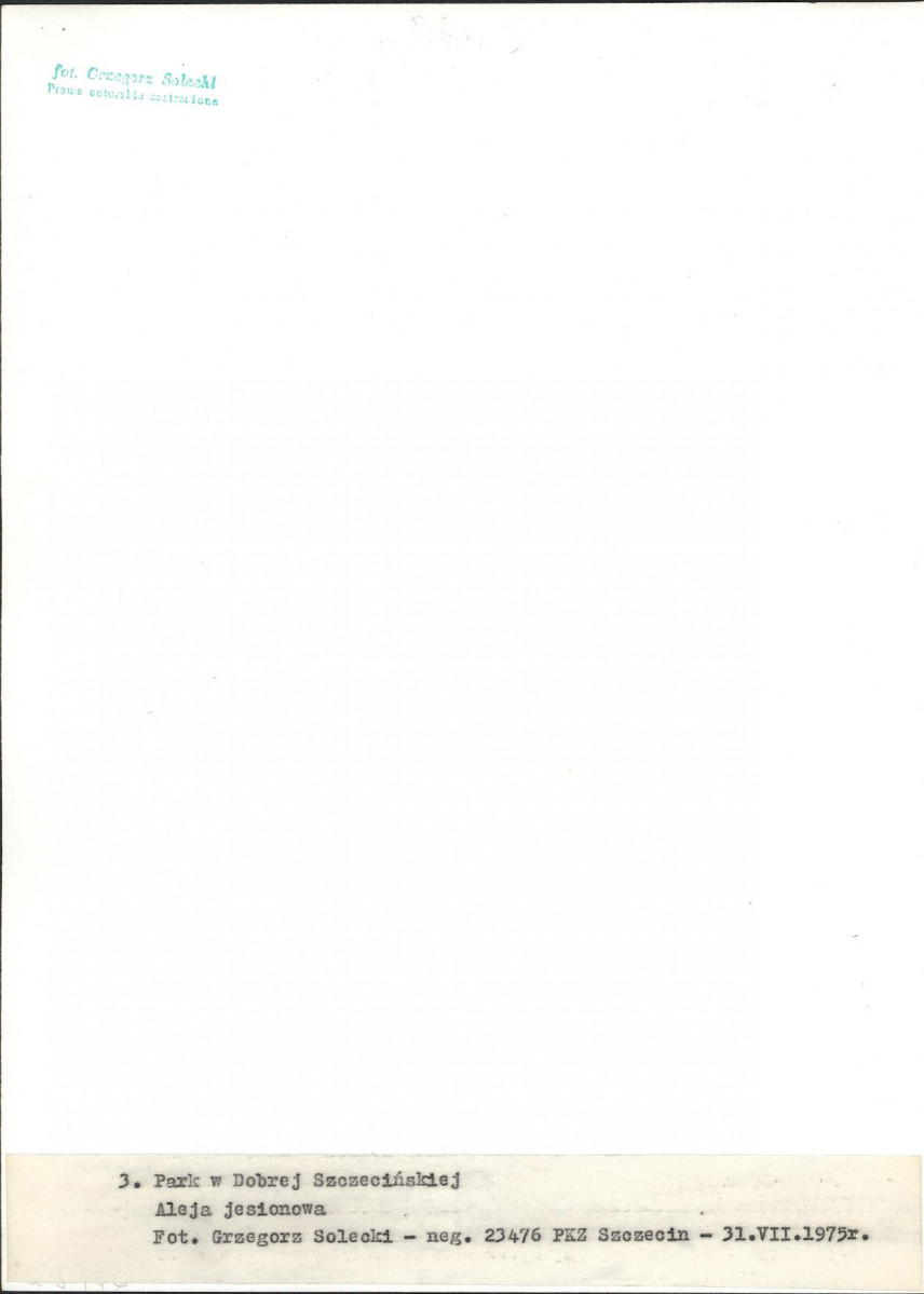 EP - Ewidencja parkowa, skan nr 16