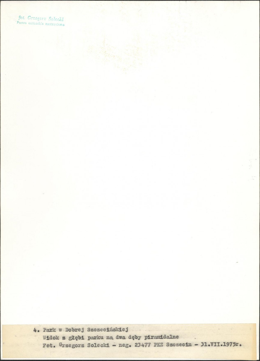 EP - Ewidencja parkowa, skan nr 18