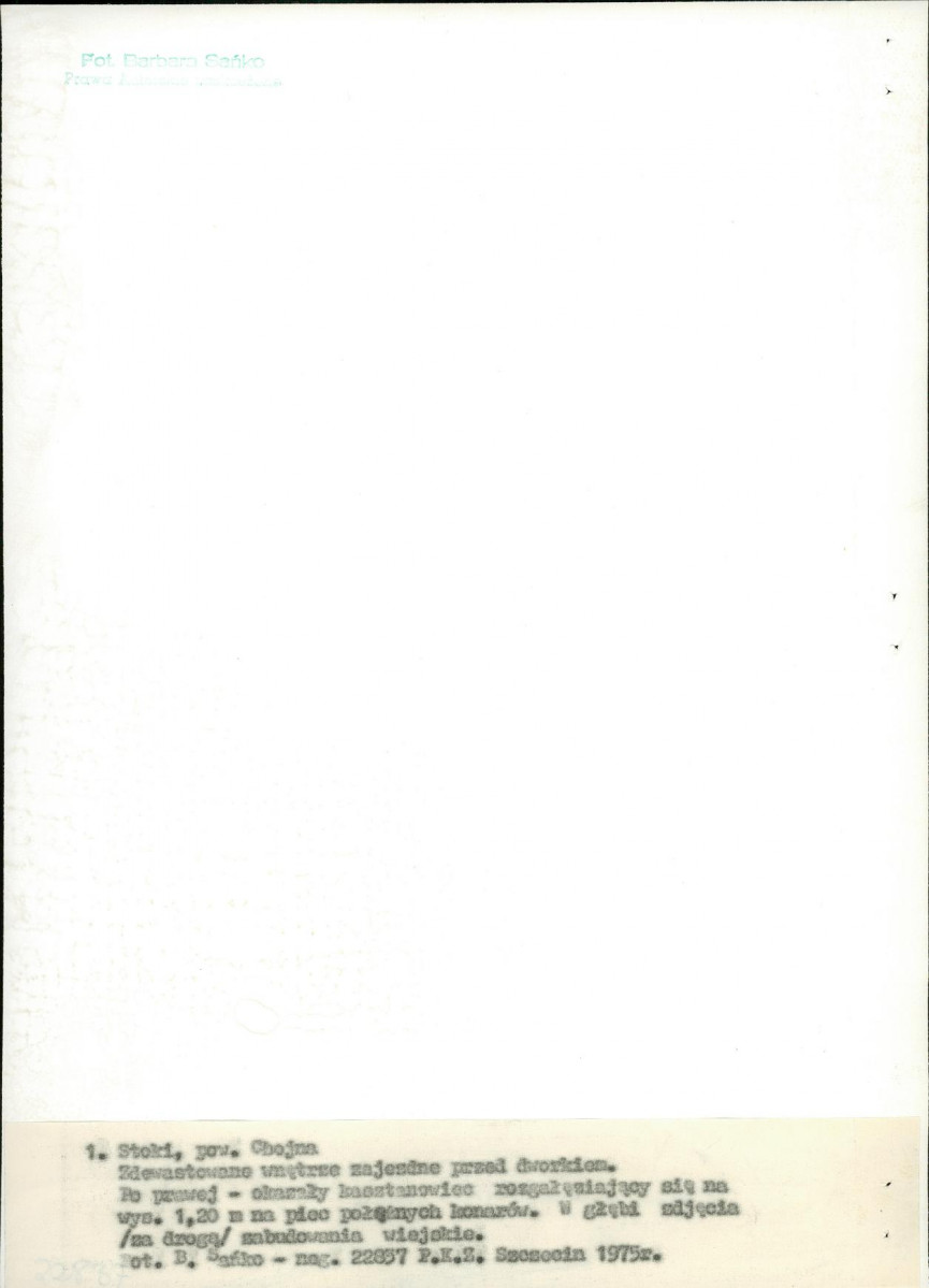 Ewidencja parkowa, skan nr 14