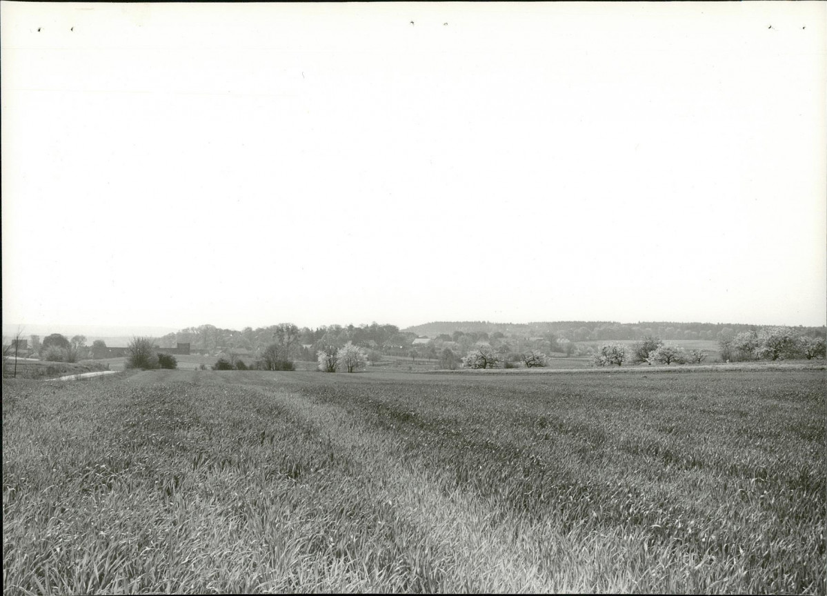 Ewidencja parkowa, skan nr 15