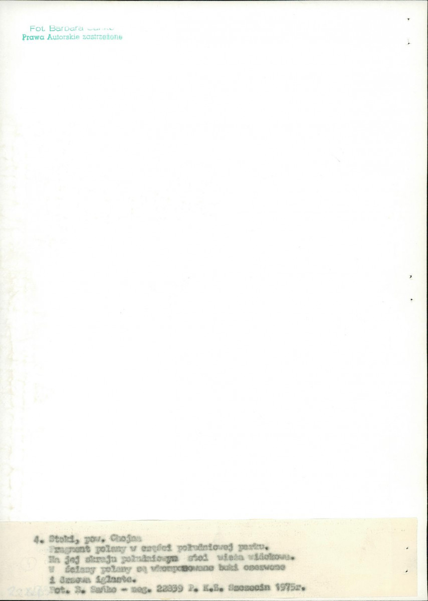 Ewidencja parkowa, skan nr 20