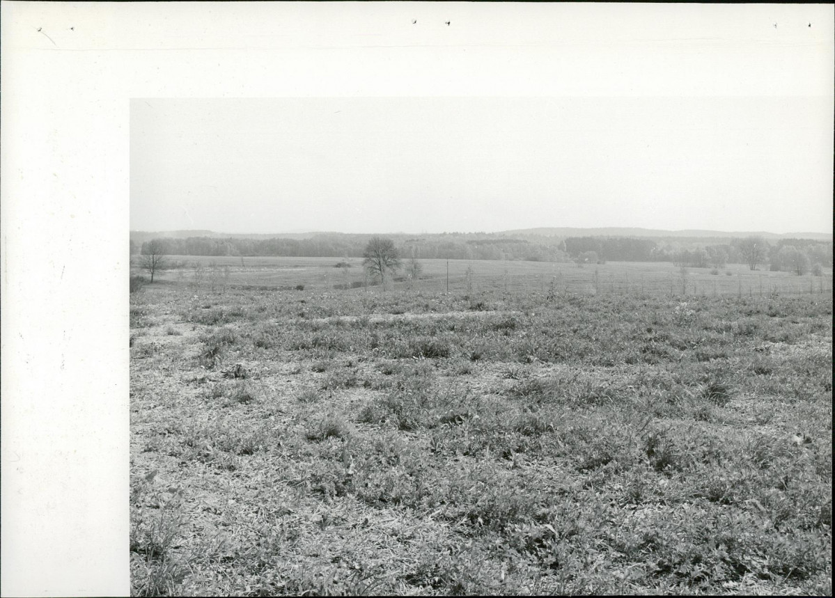 Ewidencja parkowa, skan nr 21