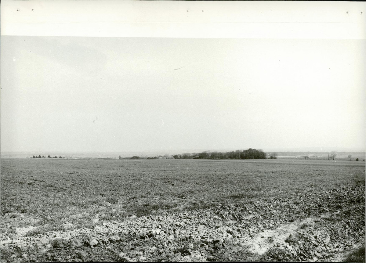 Ewidencja parkowa, skan nr 14