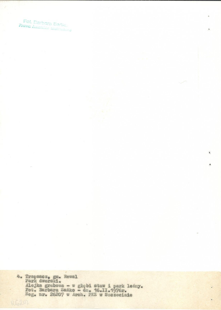 Ewidencja parkowa, skan nr 21