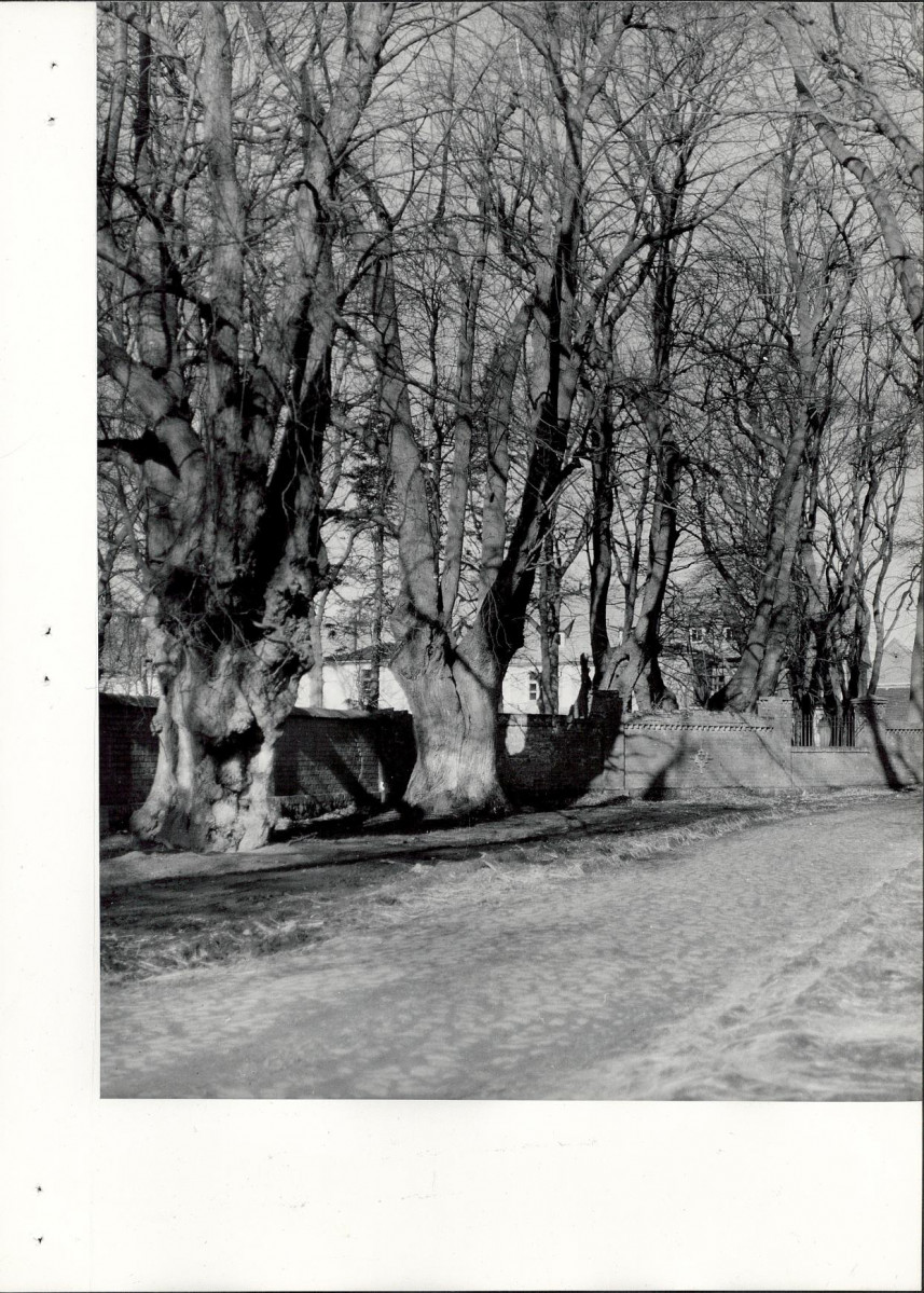 Ewidencja parkowa, skan nr 24