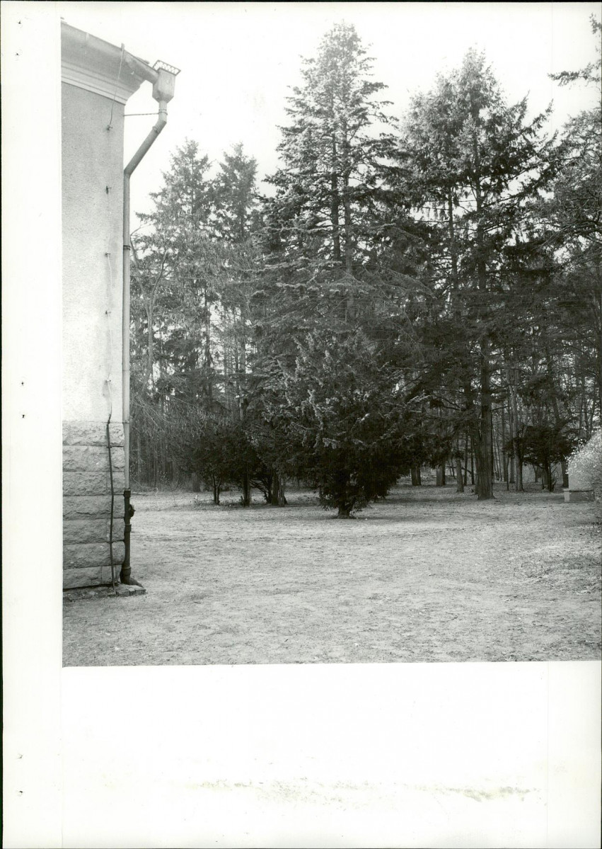 Ewidencja parkowa, skan nr 22