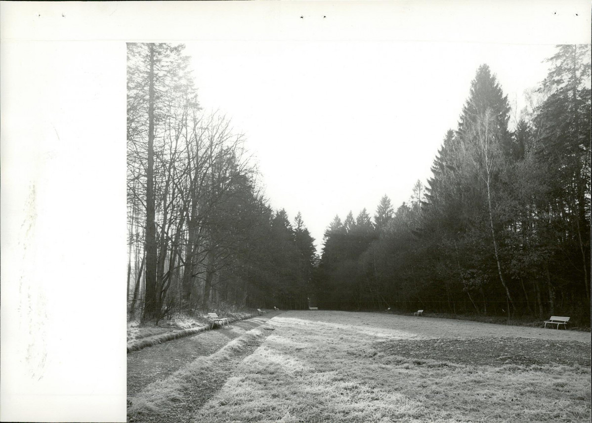 Ewidencja parkowa, skan nr 24