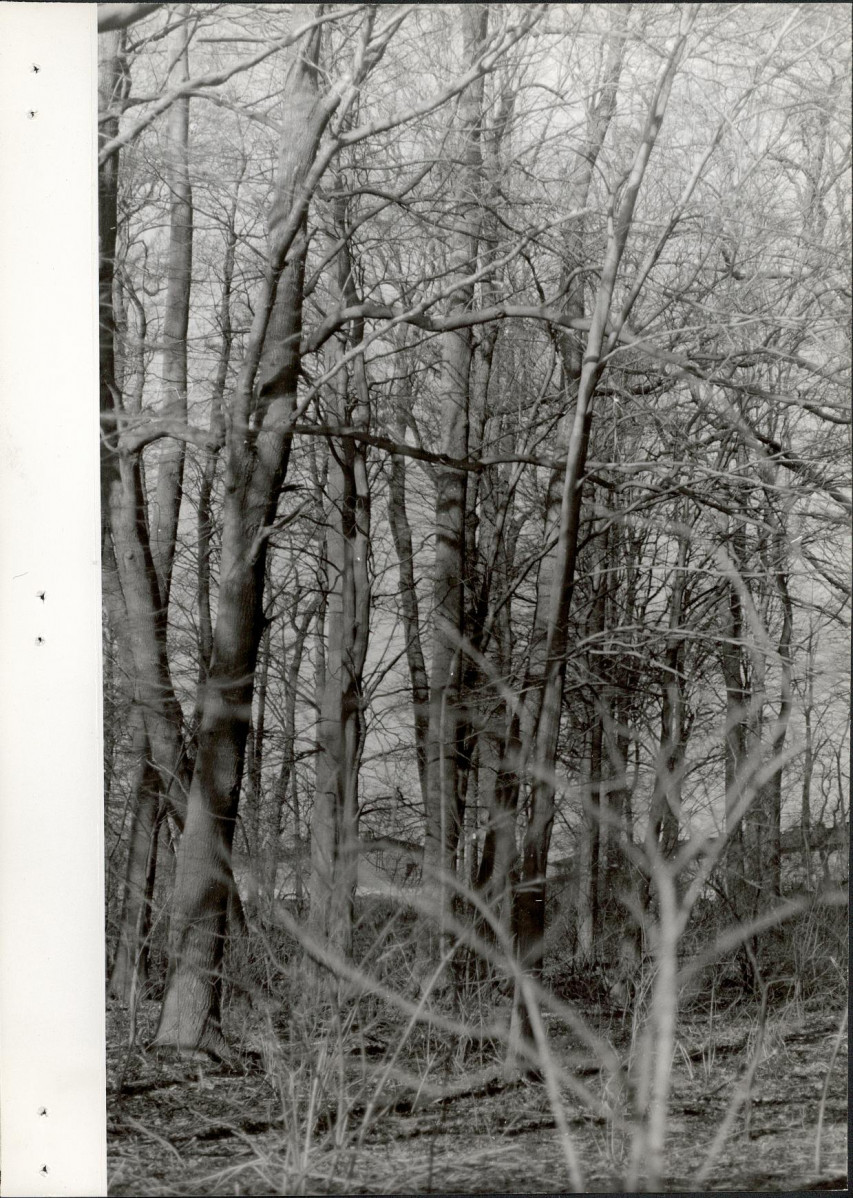 Ewidencja parkowa, skan nr 20