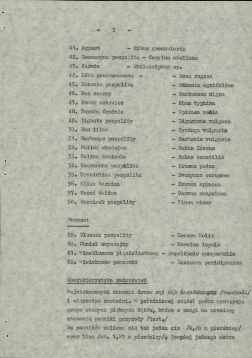 Ewidencja parkowa, skan nr 9