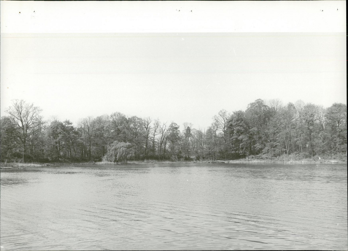 Ewidencja parkowa, skan nr 29