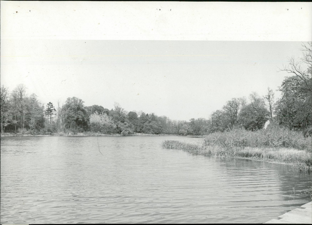 Ewidencja parkowa, skan nr 31