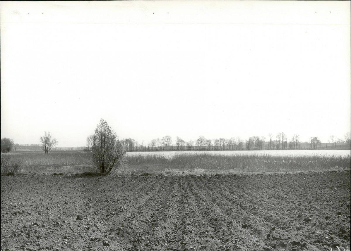 Ewidencja parkowa, skan nr 13