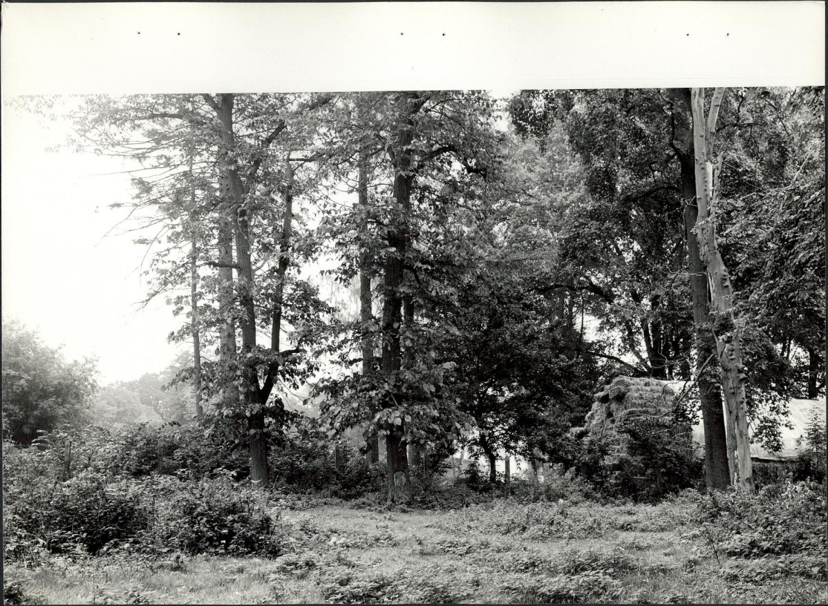 EP - Ewidencja parkowa, skan nr 34