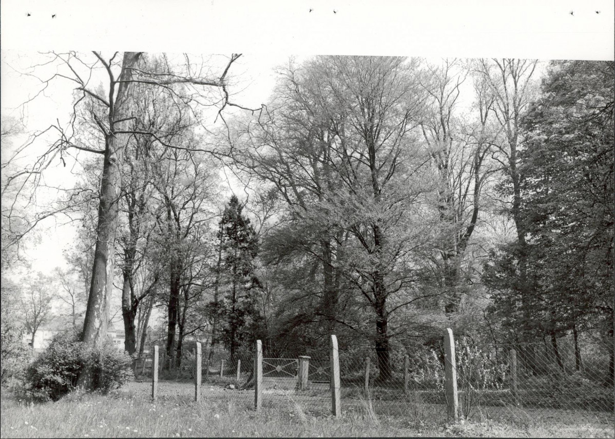 Ewidencja parkowa, skan nr 29