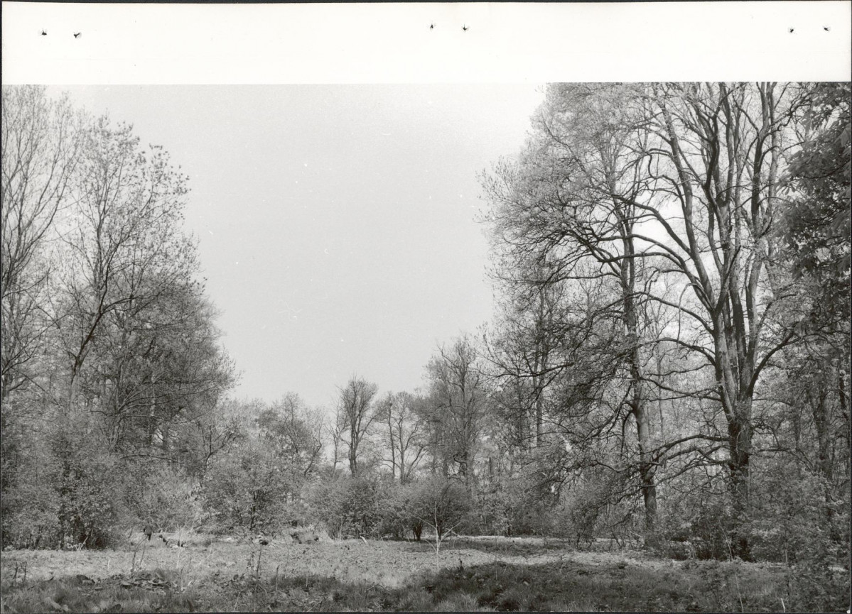 Ewidencja parkowa, skan nr 33