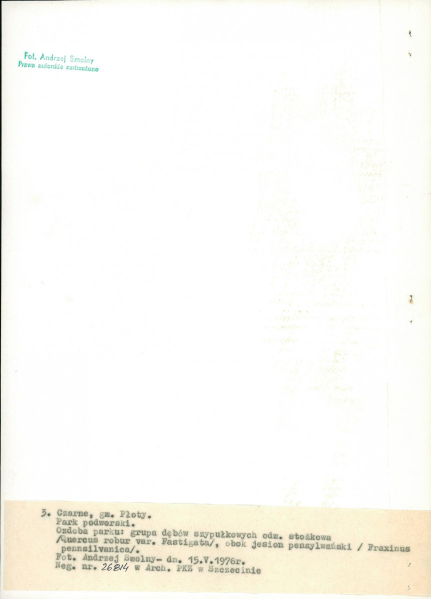 Ewidencja parkowa, skan nr 19