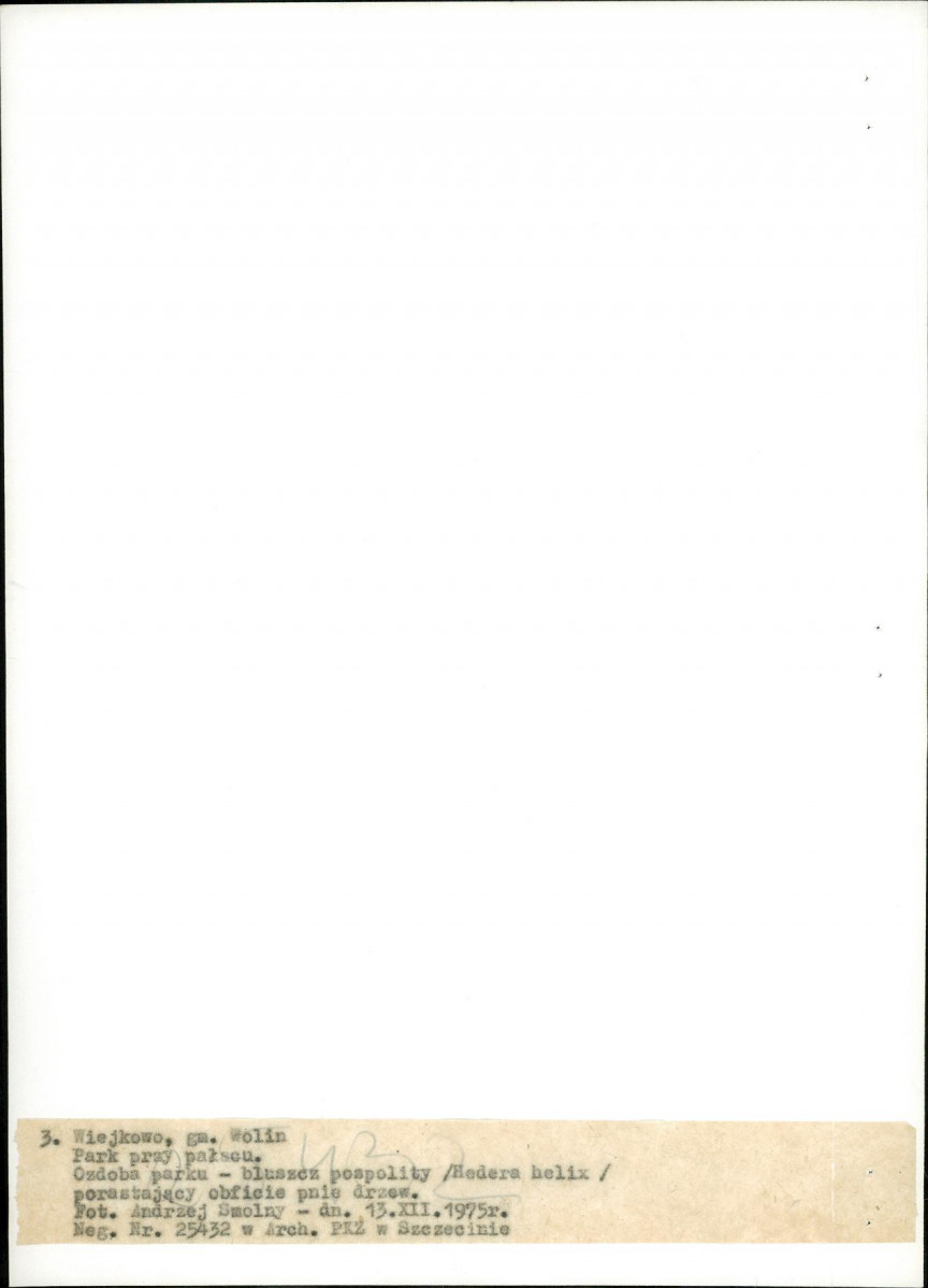 Ewidencja parkowa, skan nr 20