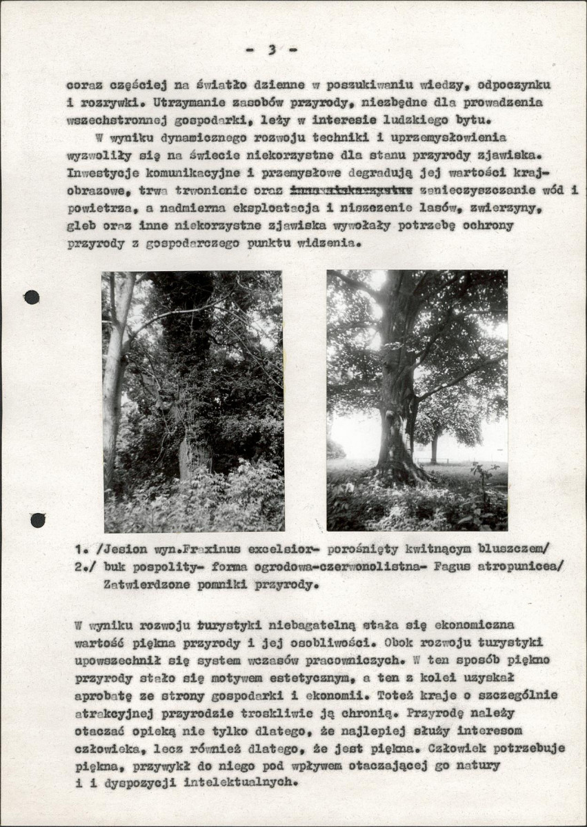 Ewidencja parkowa, skan nr 28