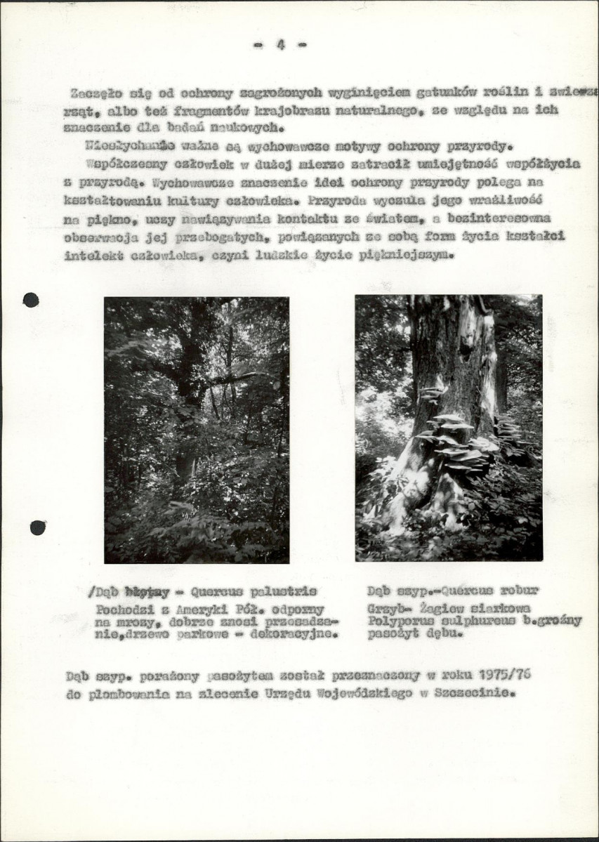 Ewidencja parkowa, skan nr 29