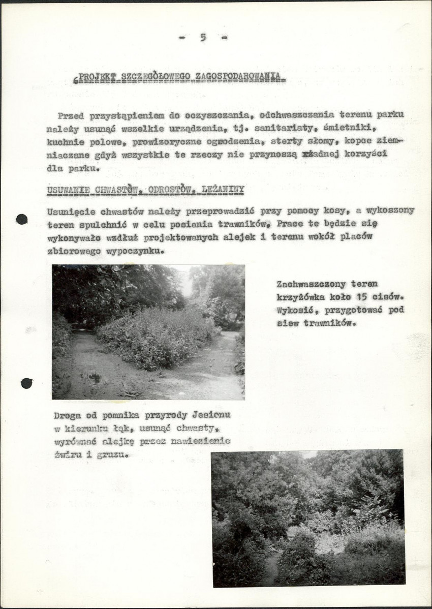Ewidencja parkowa, skan nr 30