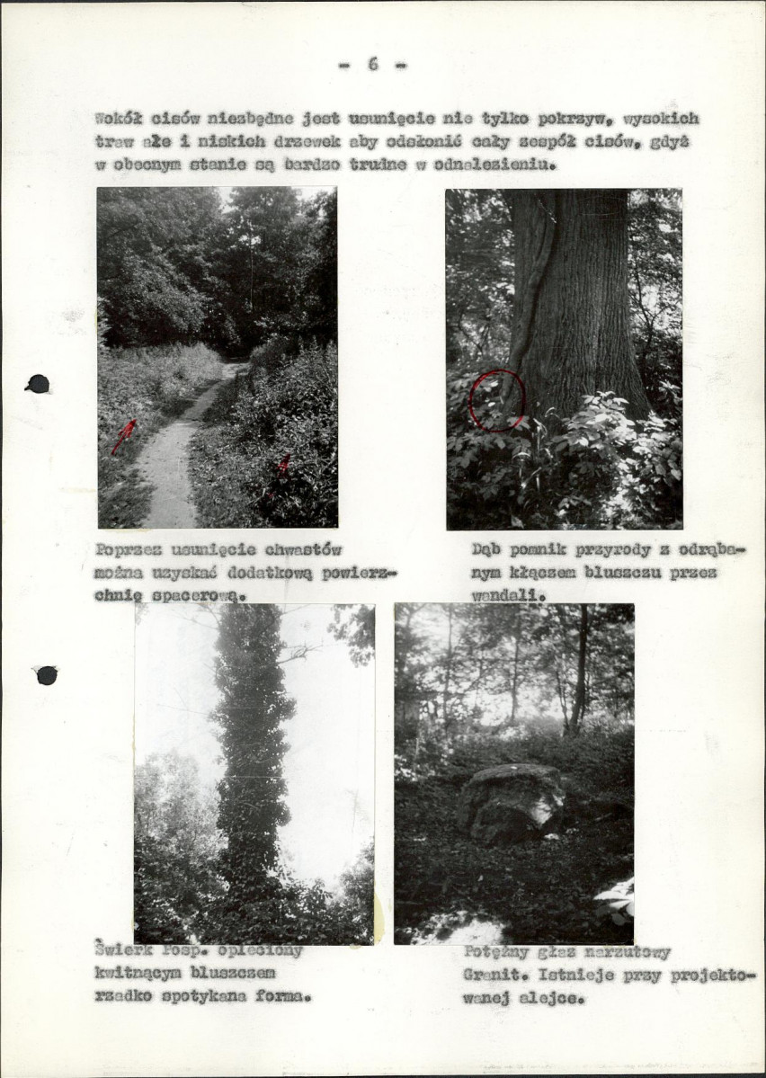 Ewidencja parkowa, skan nr 31