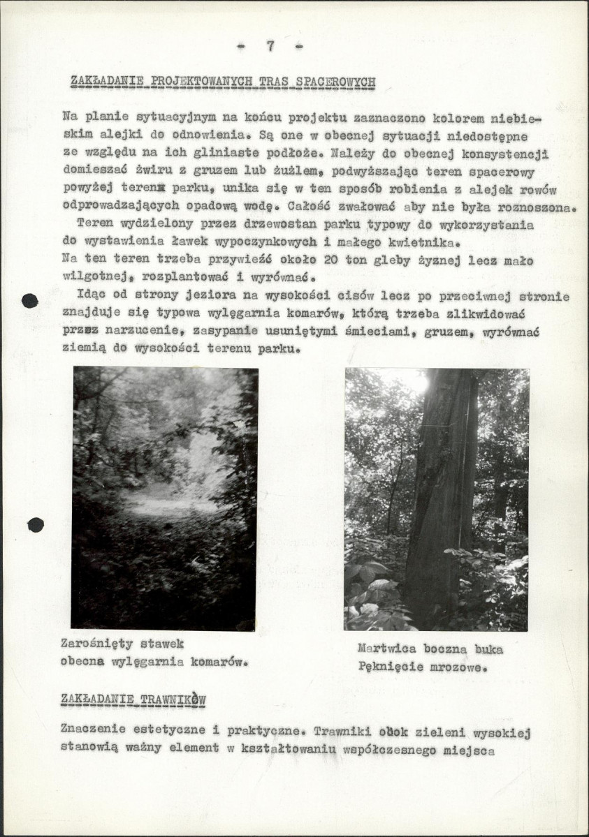 Ewidencja parkowa, skan nr 32