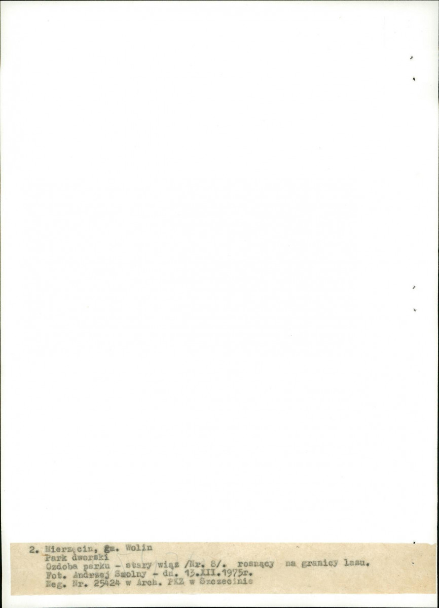 Ewidencja parkowa, skan nr 21
