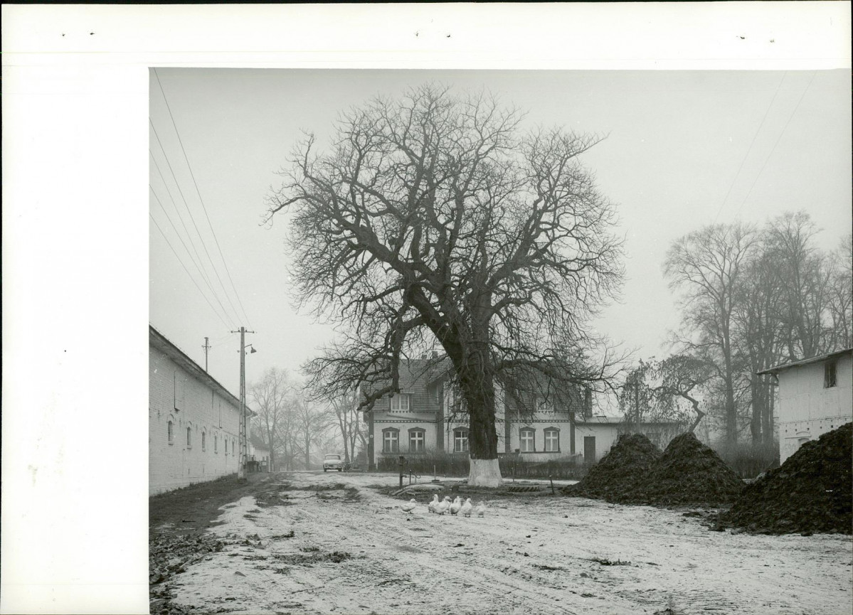 Ewidencja parkowa, skan nr 22