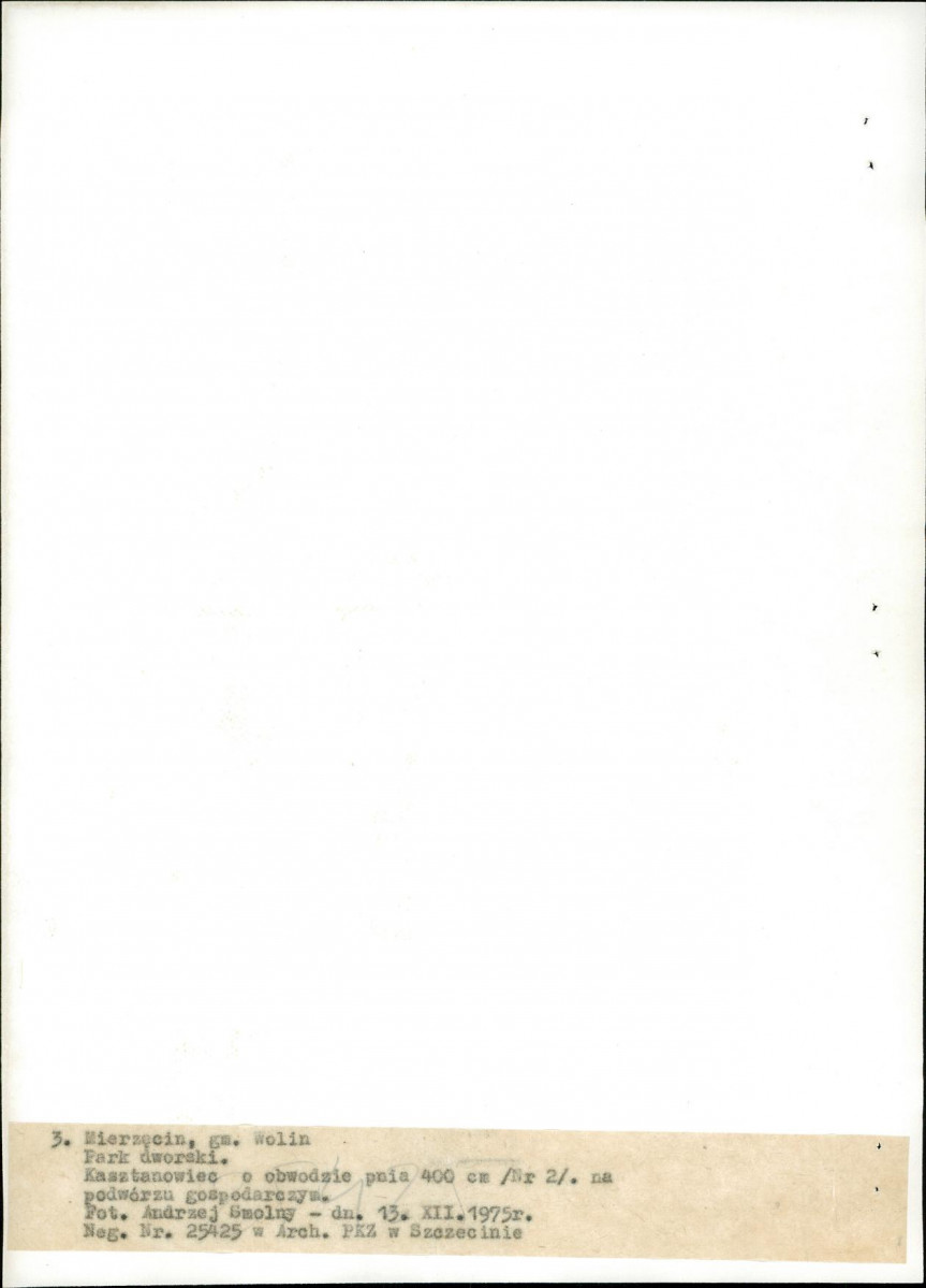 Ewidencja parkowa, skan nr 23
