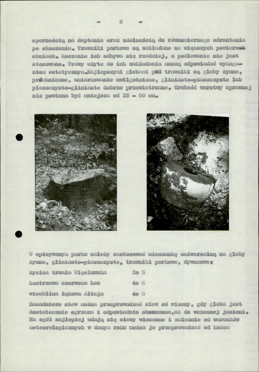 Ewidencja parkowa, skan nr 32