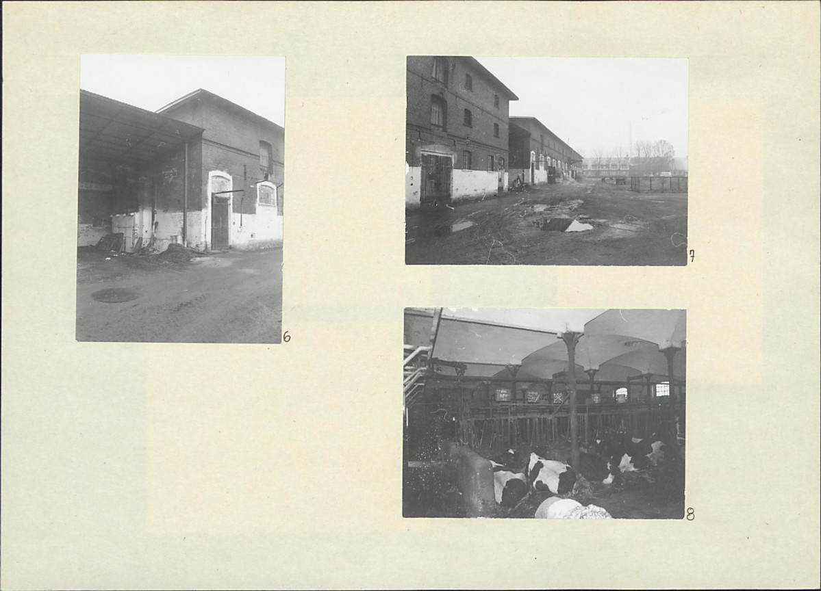 Karta biała, skan nr 8