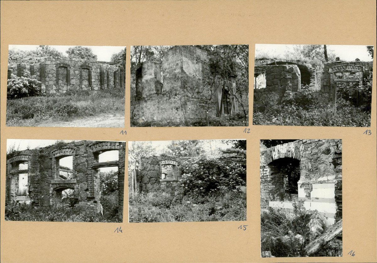 Karta biała, skan nr 8