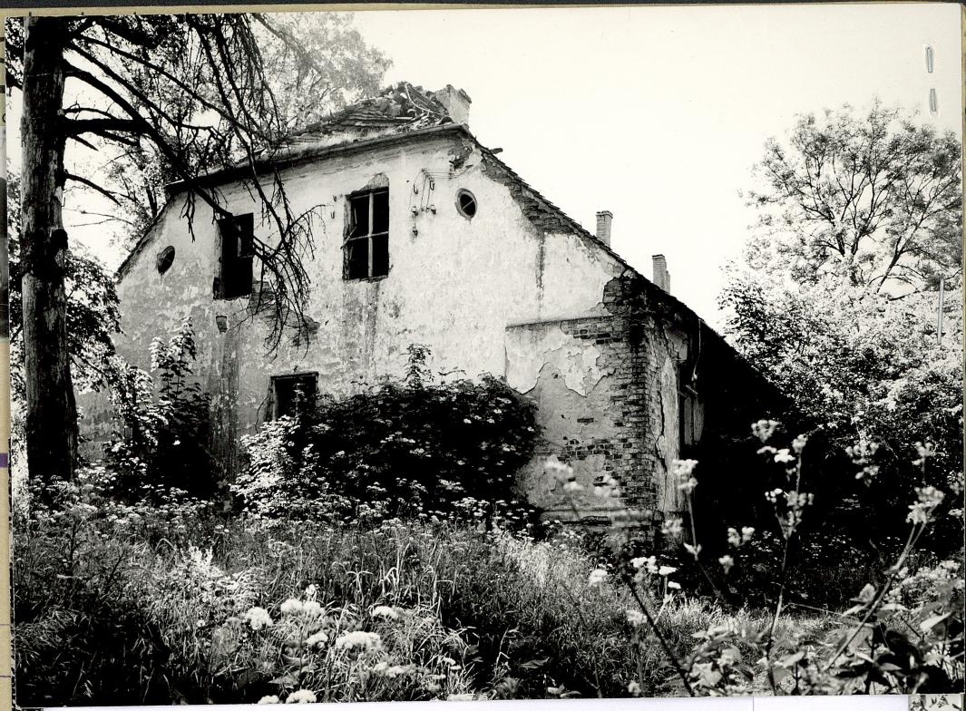 Karta zielona, skan nr 2
