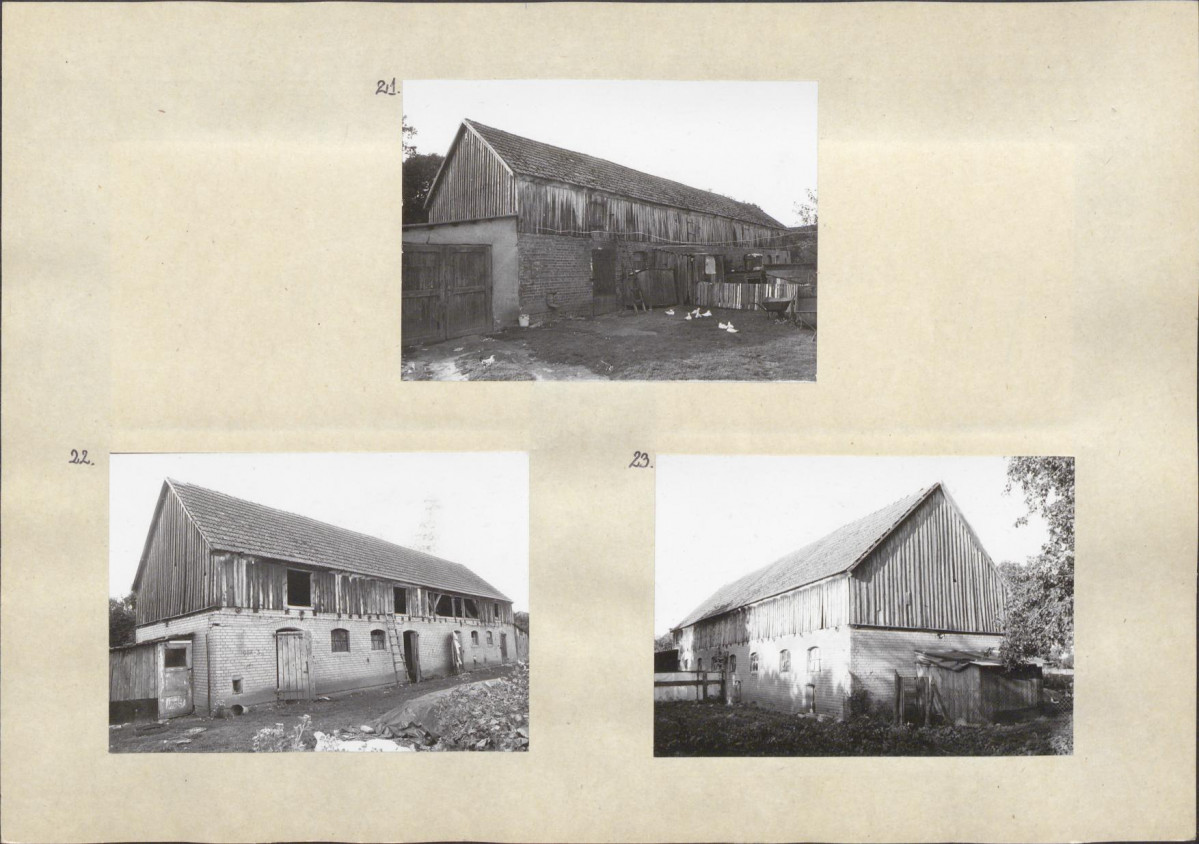 Karta biała, skan nr 16