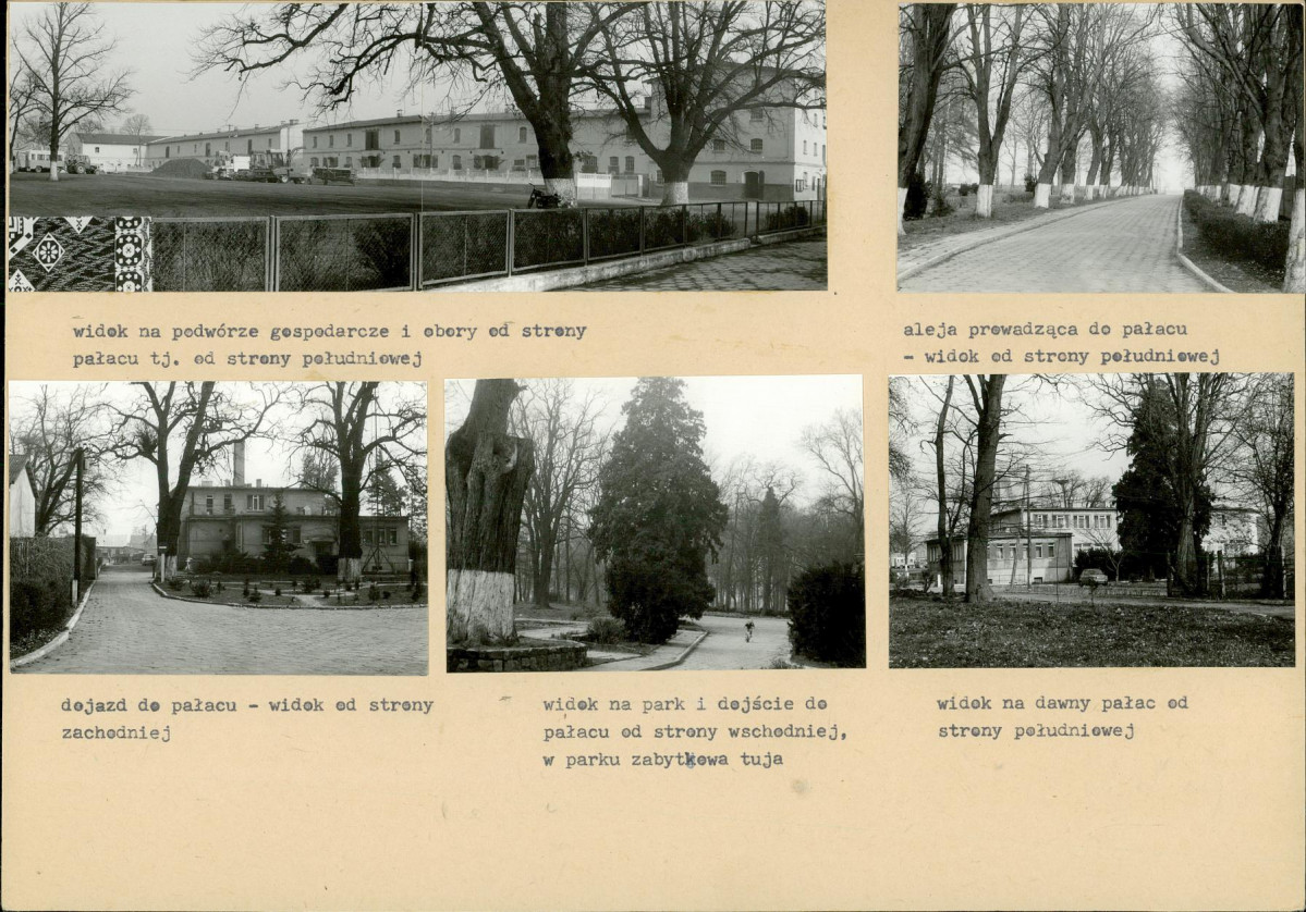 Karta biała, skan nr 6