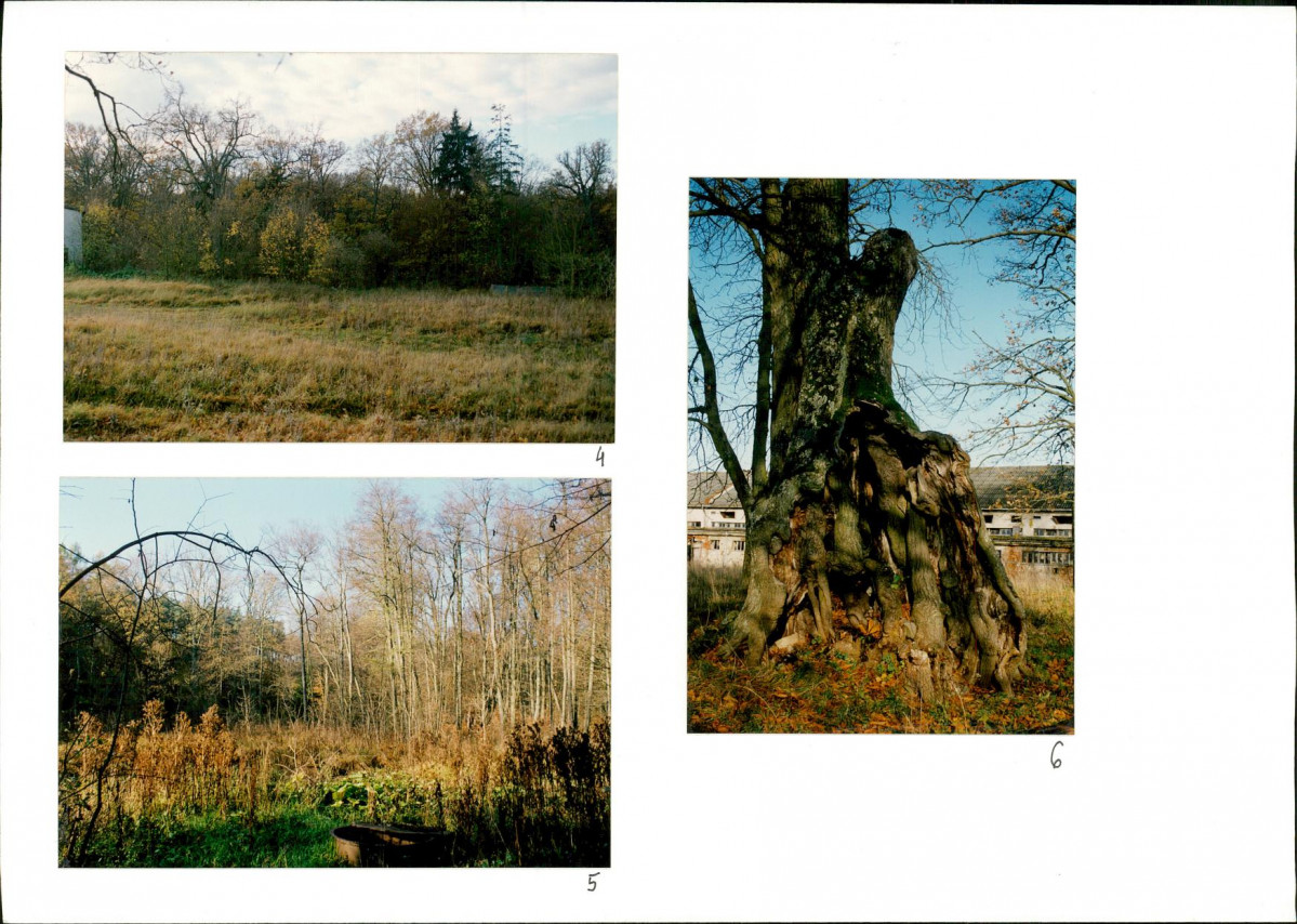 KB - Karta biała, skan nr 14