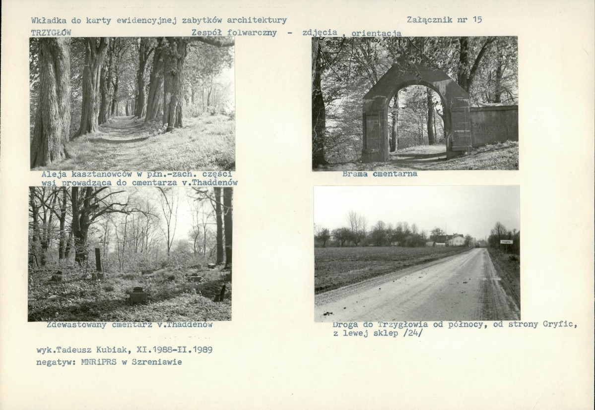Karta biała, skan nr 33
