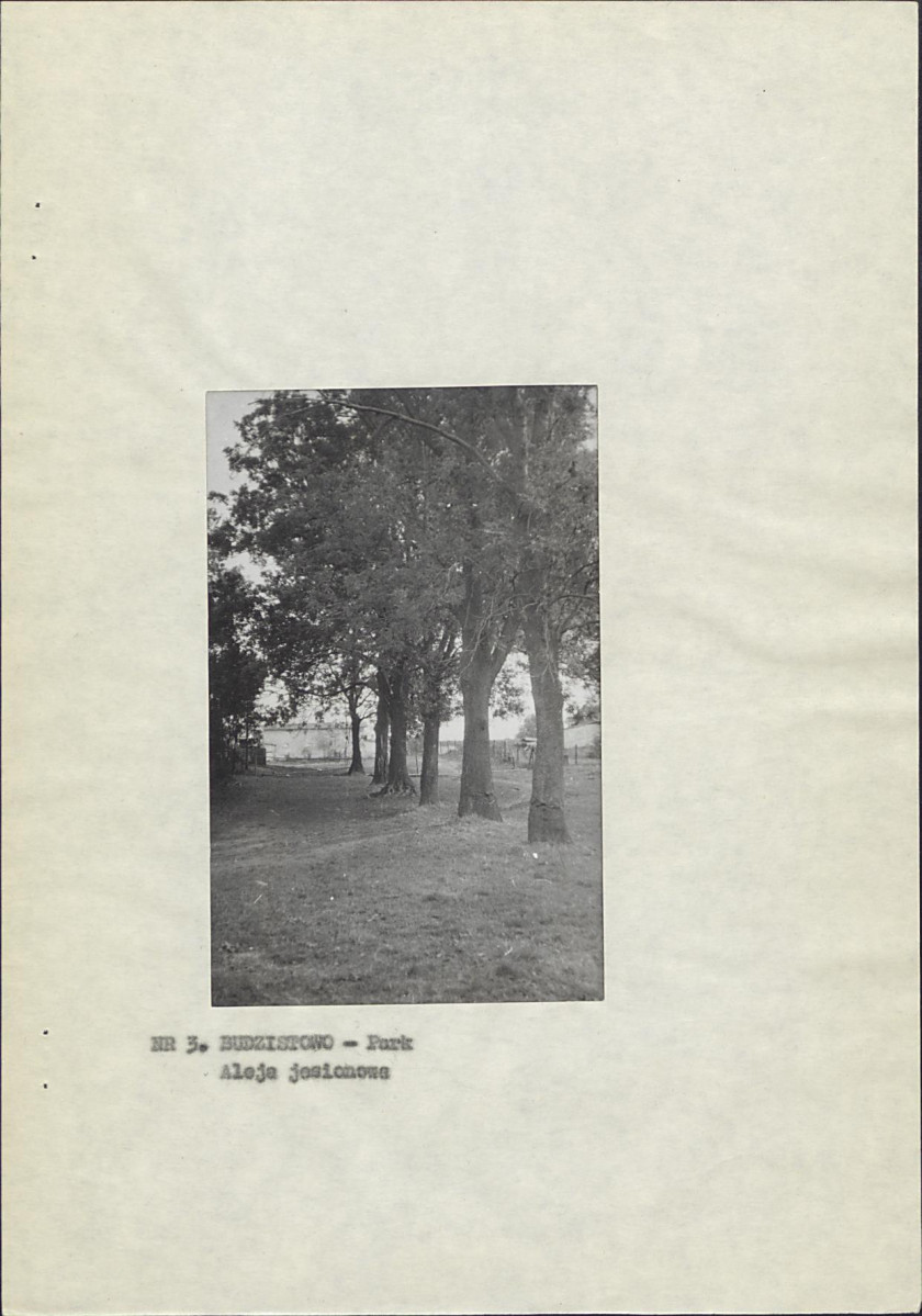 Ewidencja parkowa, skan nr 12