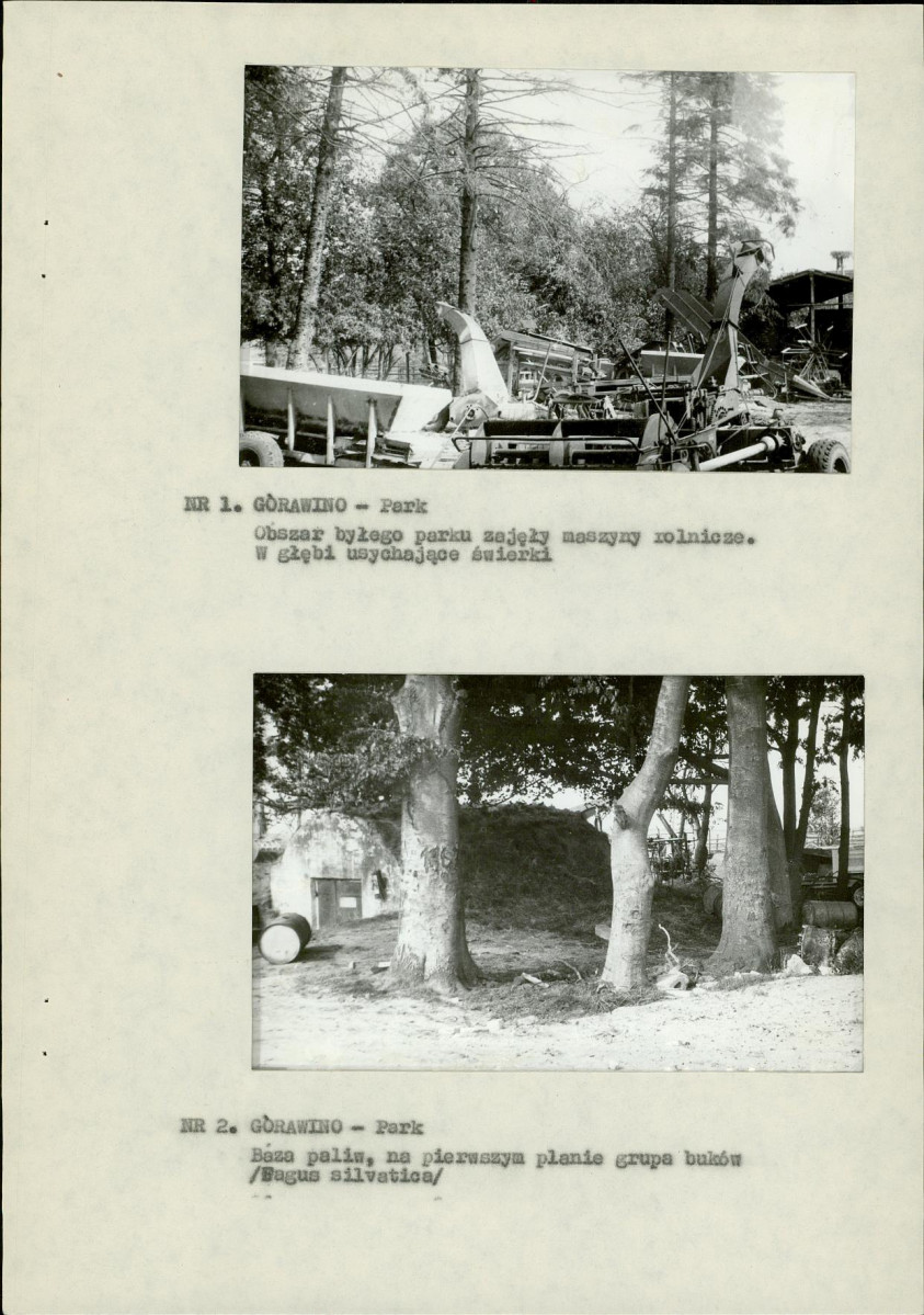 Ewidencja parkowa, skan nr 11