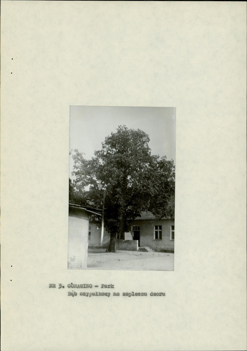 Ewidencja parkowa, skan nr 12
