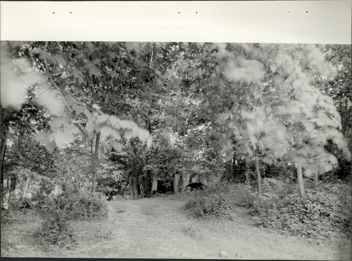 Ewidencja parkowa, skan nr 21